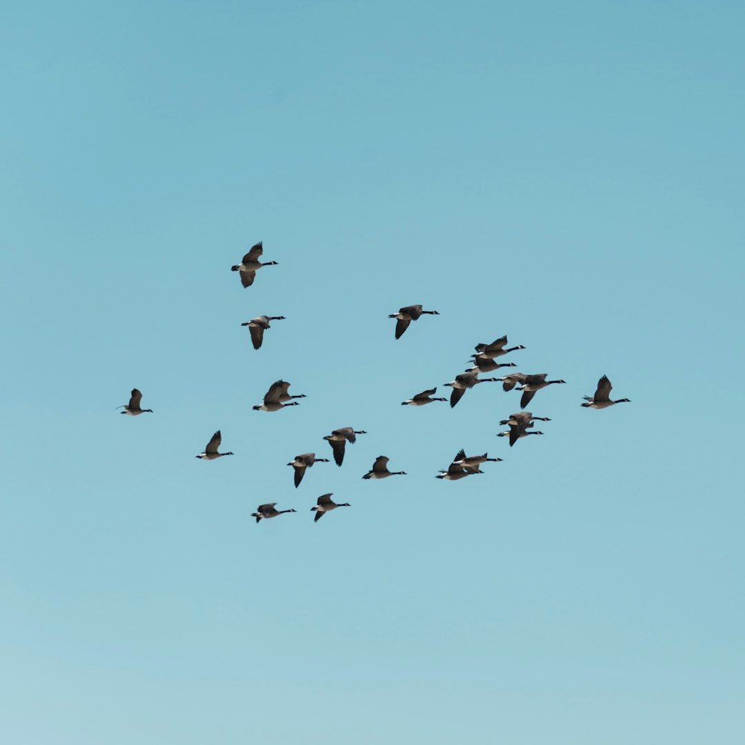 Euer Hochzeitsabenteuer im Ausland - eure Destination Wedding mit erfahrener Hochzeitsplanerin Heiraten im Ausland - eure Destination Wedding english/deutsch abroad austria